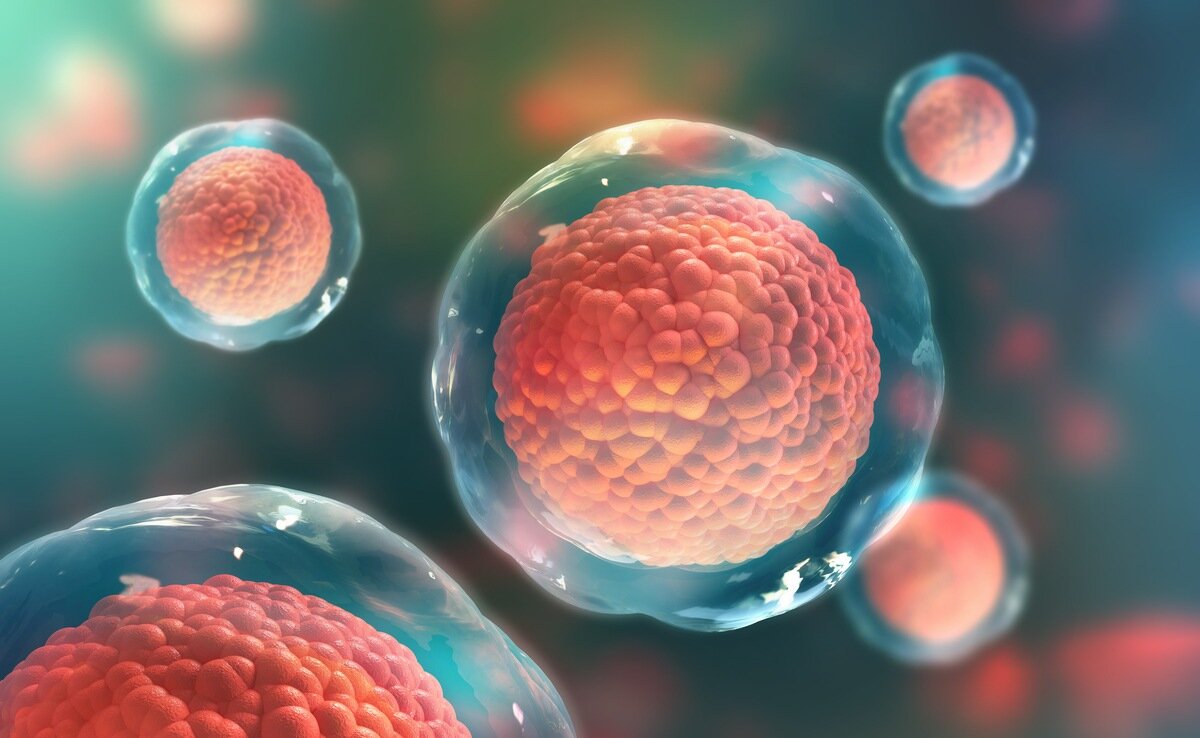 Mesenchymale Zellen/PRP/CGF (Wachstumsfaktorkonzentrat) in der Urologie
